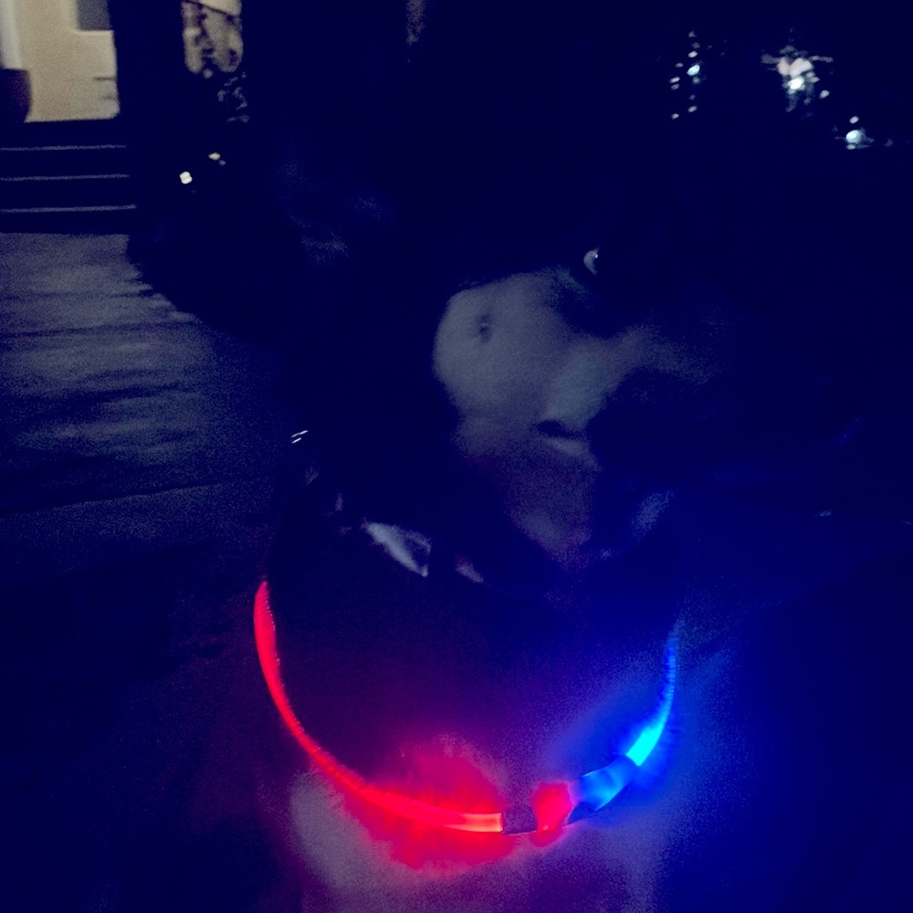 Meet your Posher, Leah